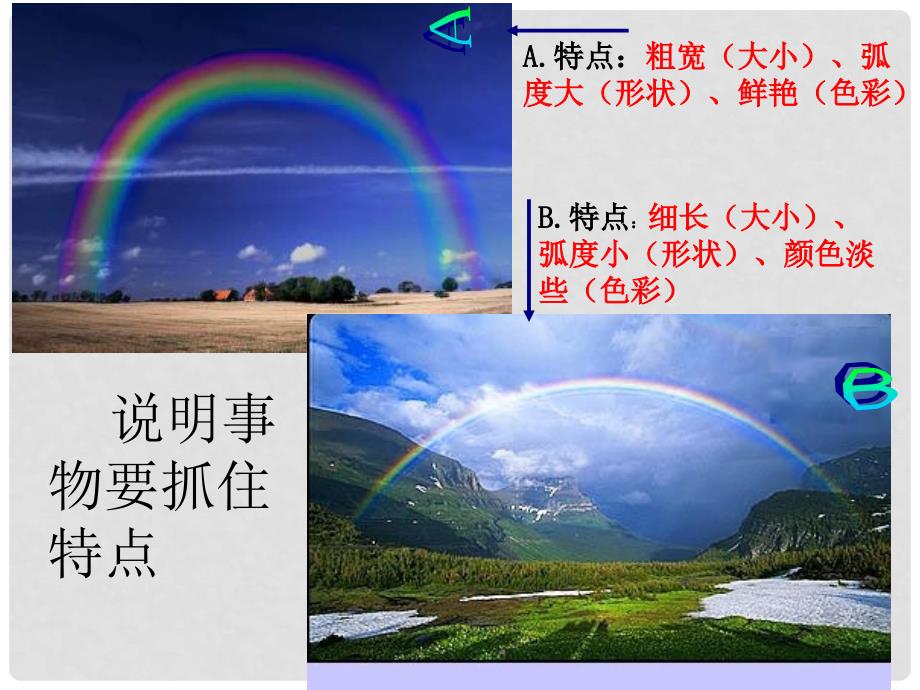 浙江省温州市泰顺县新浦中学八年级语文上册 11 中国石拱桥课件 新人教版_第1页