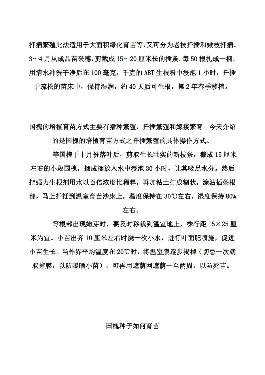 国槐种子如何育苗.doc_第1页