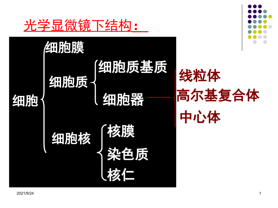 第四章细胞膜与物质的跨膜运输(一)_第1页