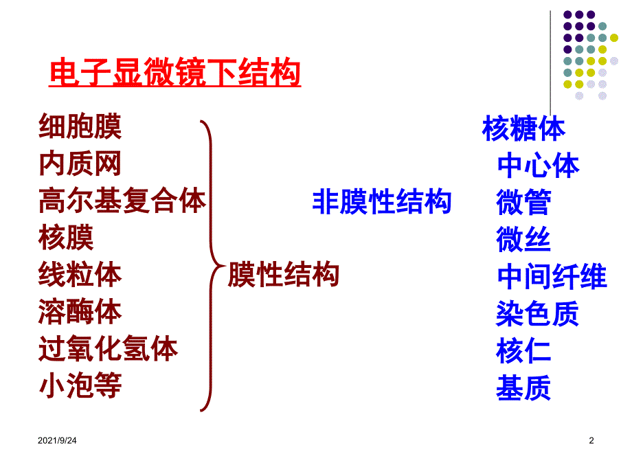 第四章细胞膜与物质的跨膜运输(一)_第2页