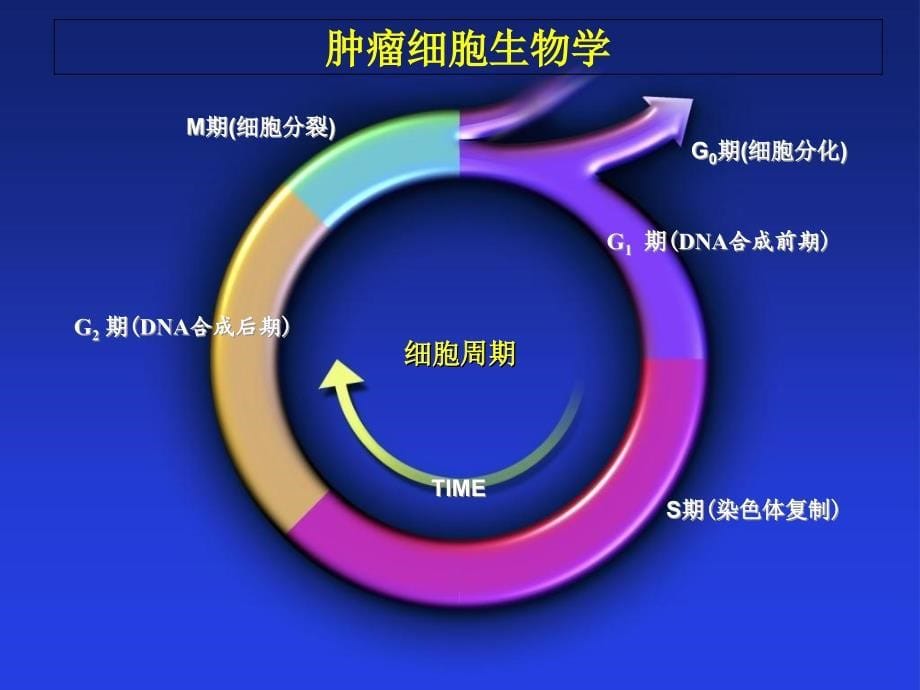 肺癌的早期诊断PPT课件_第5页