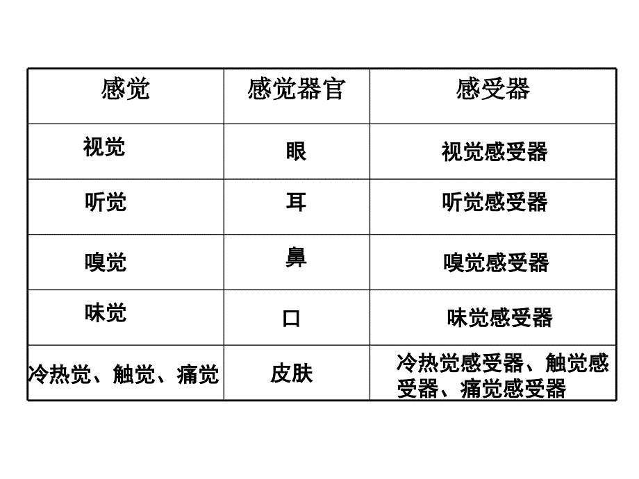 第三章人体的感觉_第3页