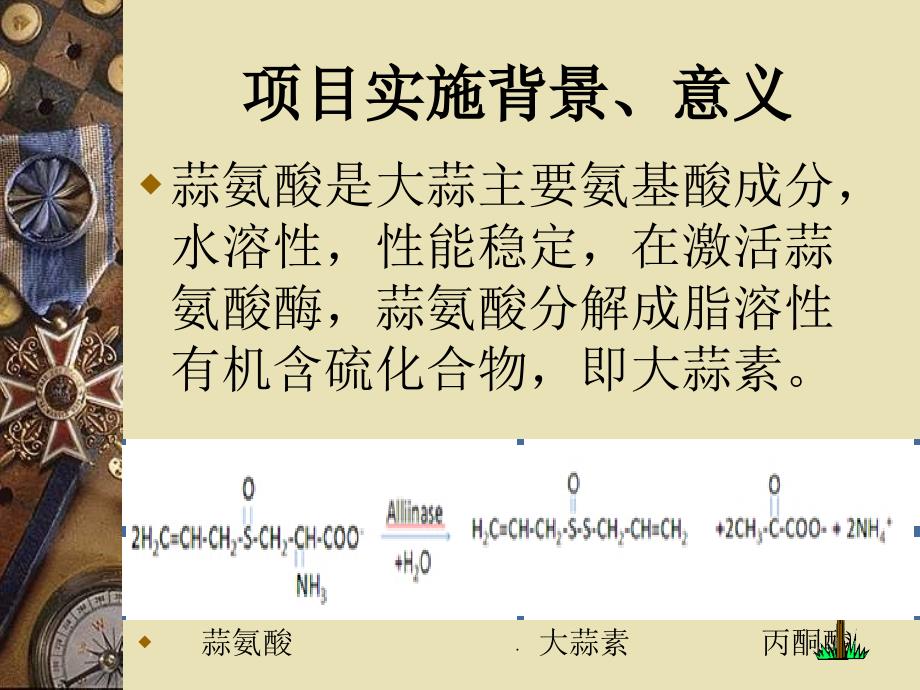 开题报告答辩_第4页