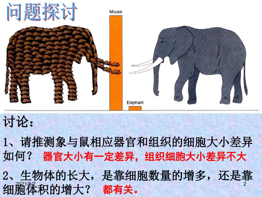 细胞增殖课件幻灯片_第2页