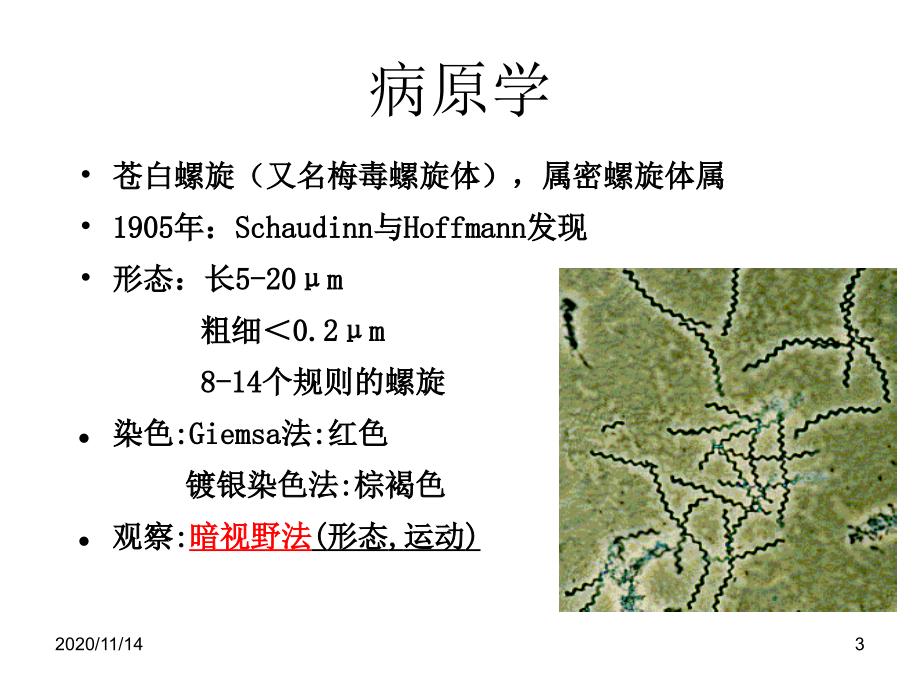 神经梅毒诊断与治疗课件_第3页