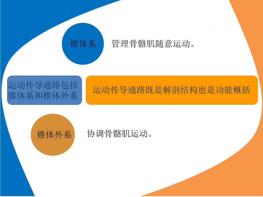 解释锥体系病变的几个症状_第2页