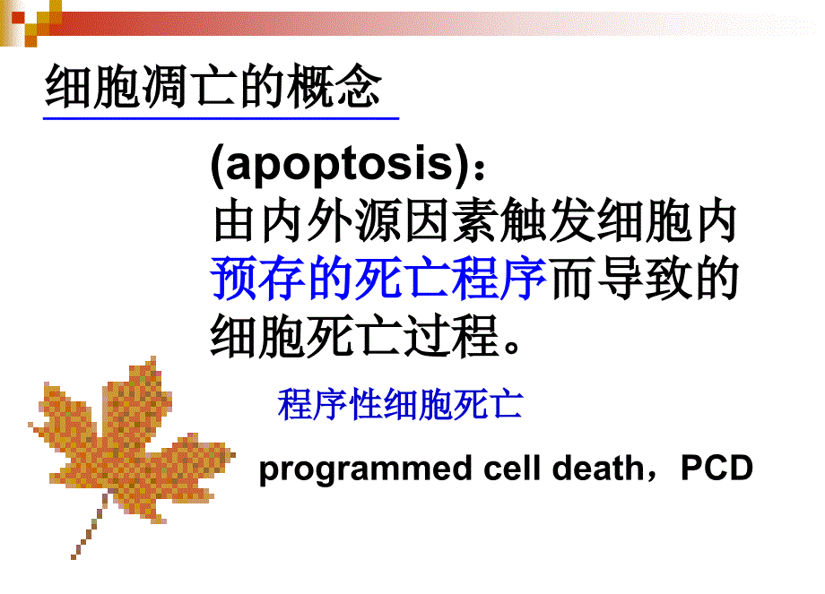 细胞凋亡与疾病精选文档_第2页