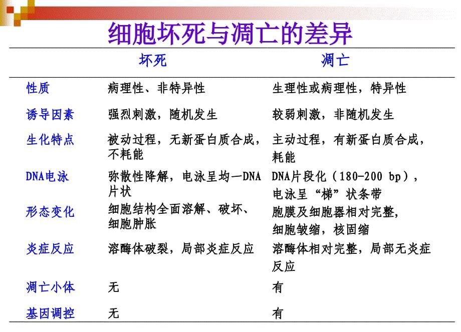 细胞凋亡与疾病精选文档_第5页