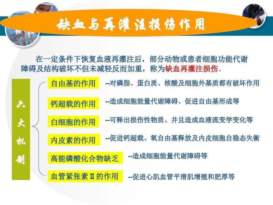 急性脑梗塞的病理生理与治疗策略_第5页