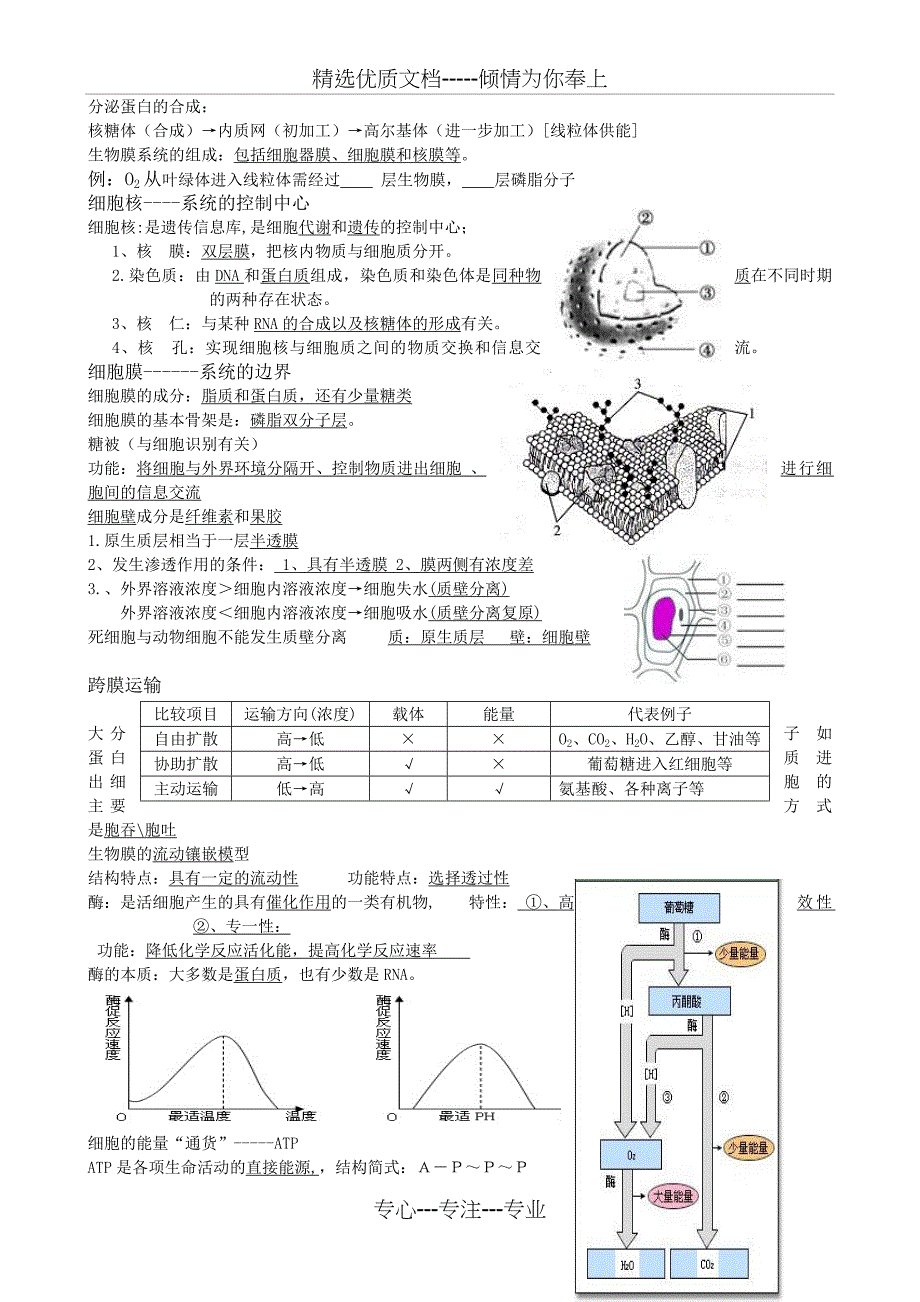 高中生物会考复习知识点_第3页