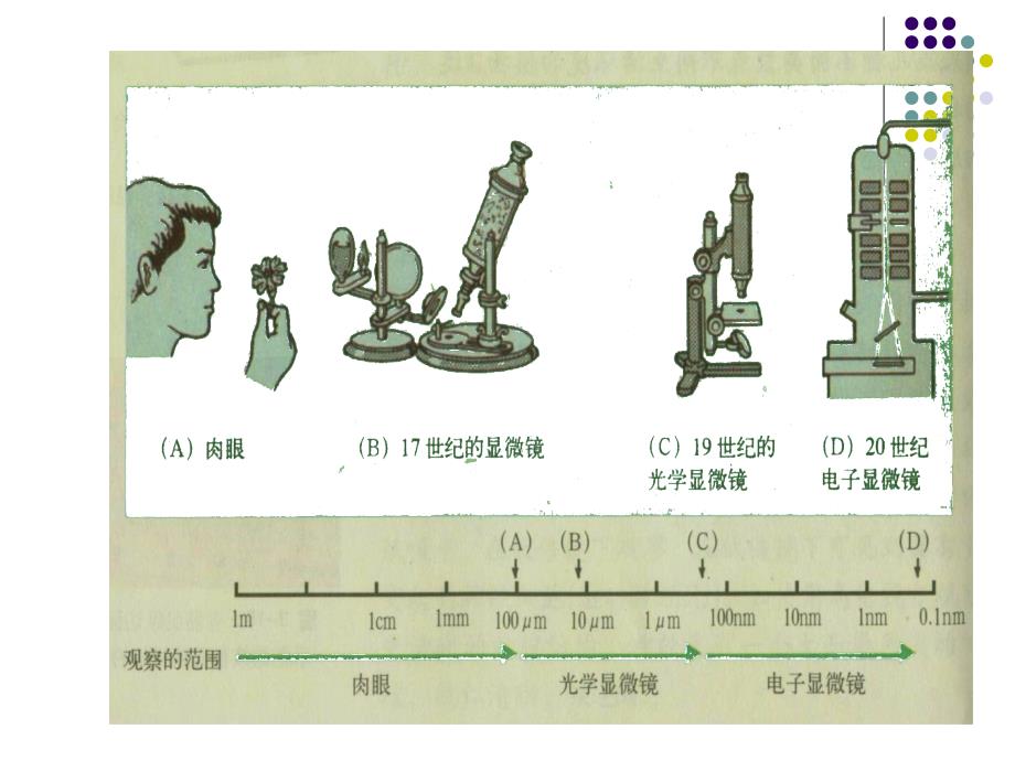 探索生命的器具课件_第3页