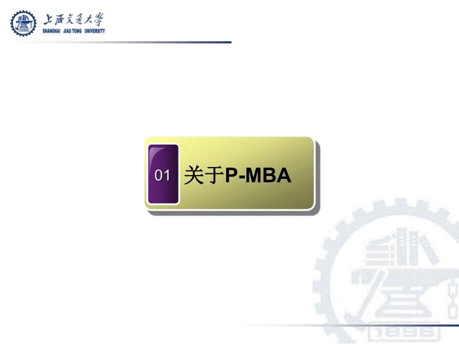 PMBA产品介绍PPT确认版_第3页