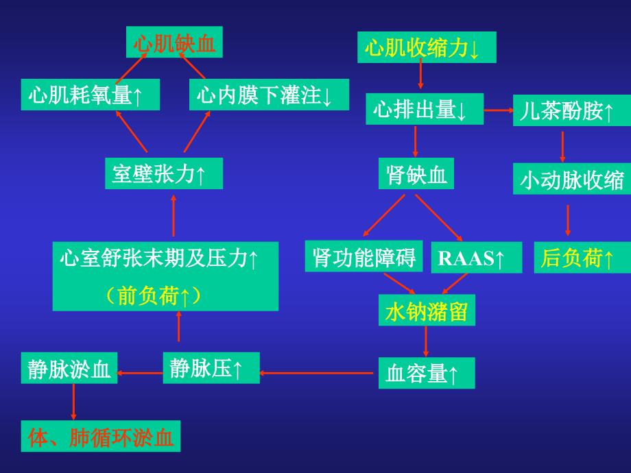 抗慢性心功能不全药临床药理.ppt_第2页