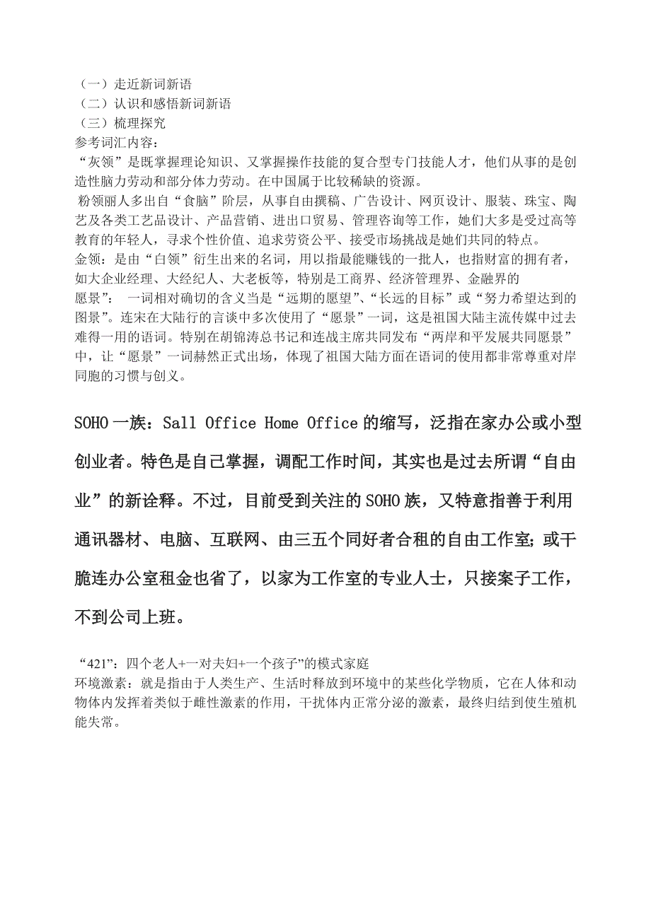 新词新语与流行文化.doc_第3页