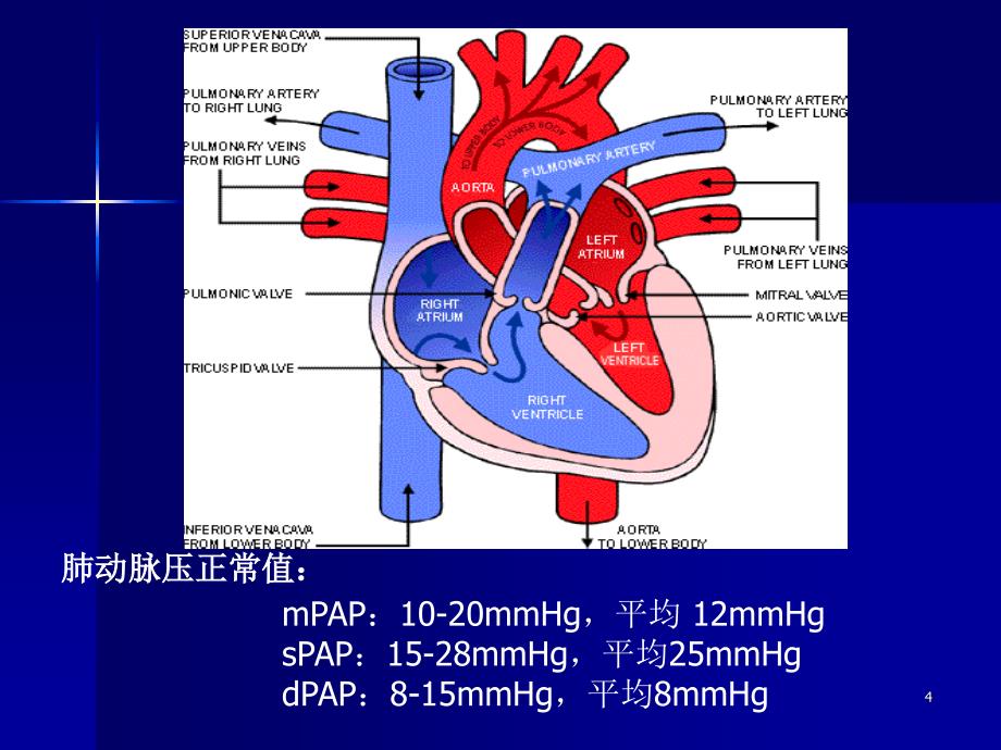 内科学肺动脉高压与肺源性心脏病参考PPT_第4页