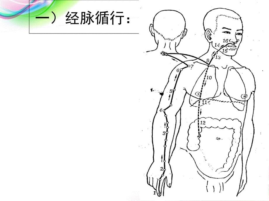 大肠经腧穴_第5页