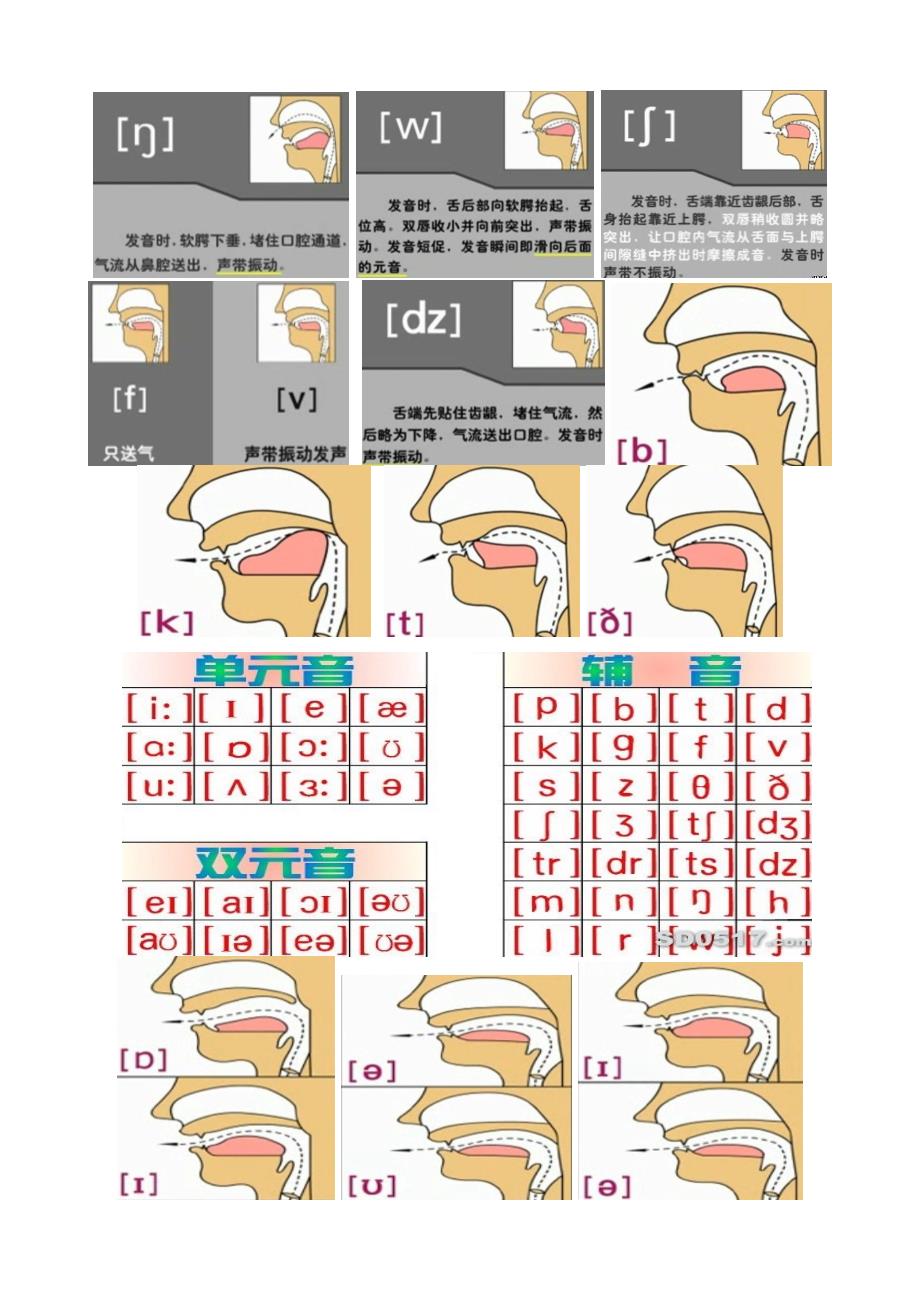 图示英语发音口型及舌位_第2页