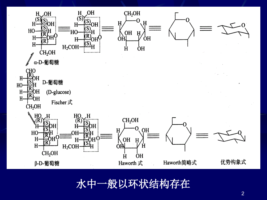 经济学第二章糖和苷ppt课件_第2页