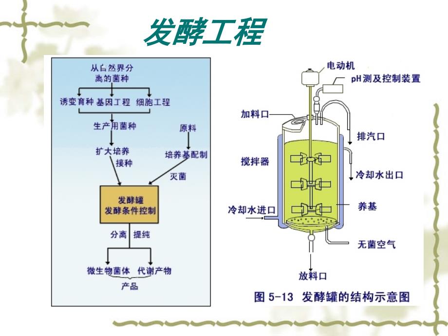 10微生物与现代发酵工业_第3页