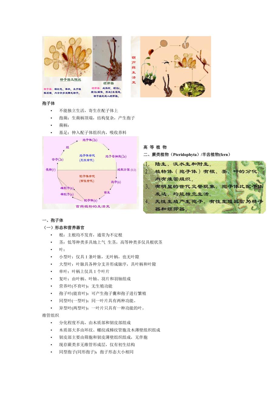 植物学 第五章 2.doc_第1页