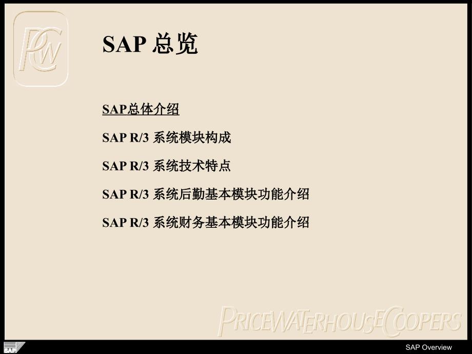 SAP overview 01_第2页