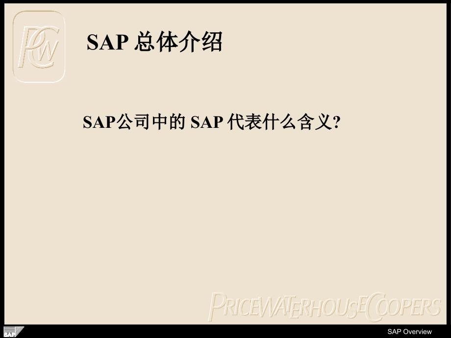 SAP overview 01_第3页