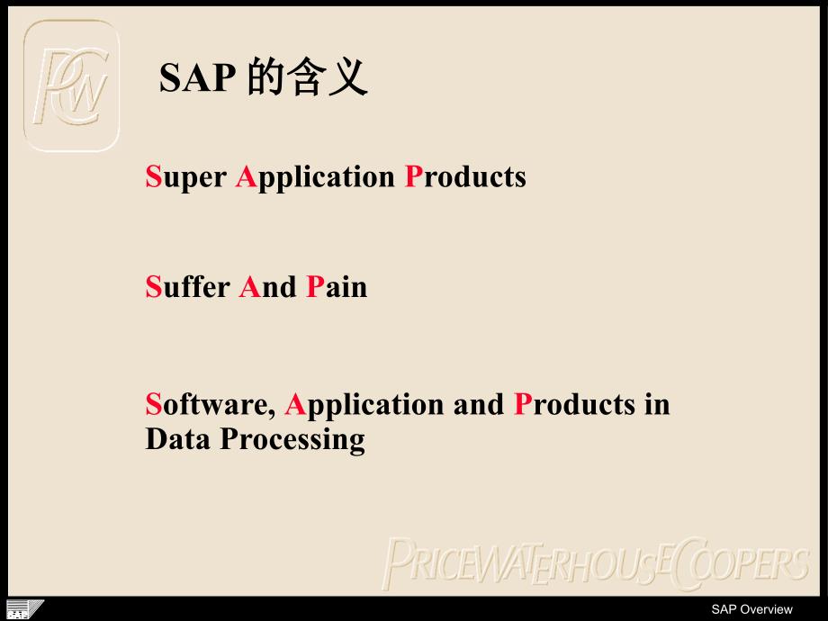 SAP overview 01_第4页