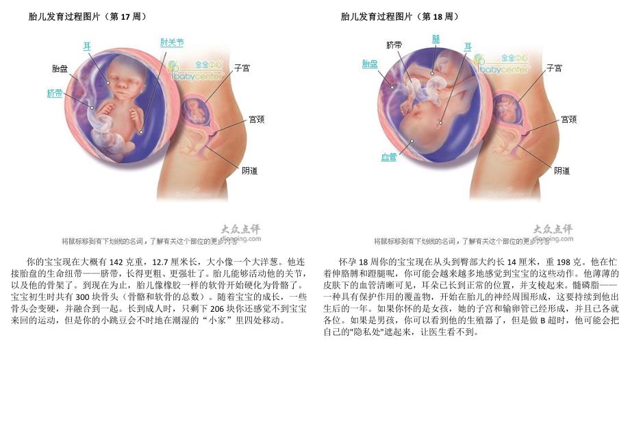 准妈妈第五月.doc_第1页