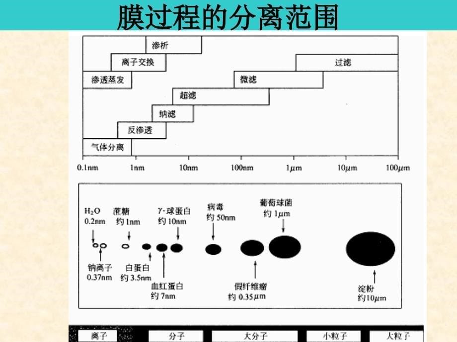 中国药科大学高等制药分离工程3膜分离 Membrane Separation)_第5页