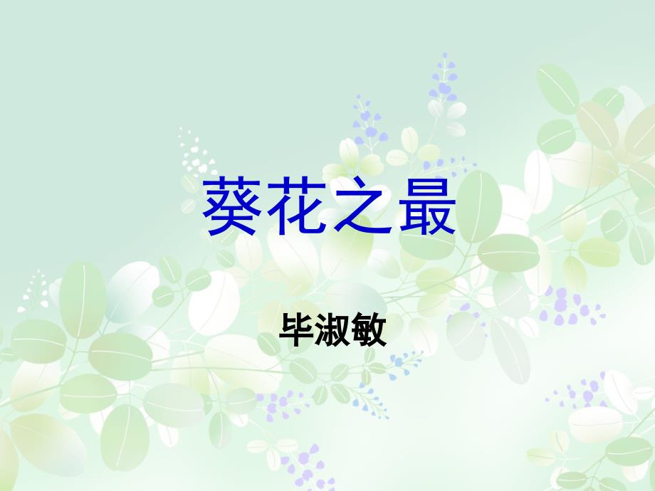 7葵花之最 (2)_第1页