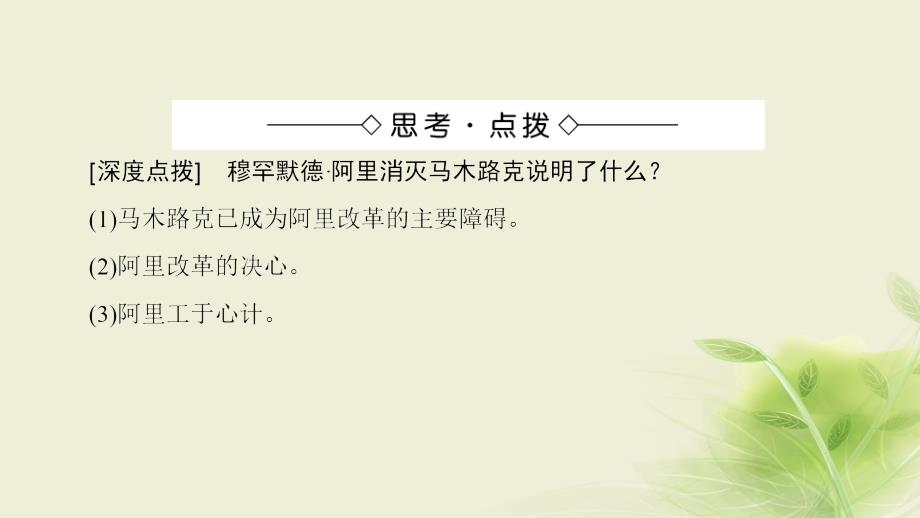 高中历史第六章埃及穆罕默德8226;阿里改革2穆罕默德8226;阿里改革课件北师大版选修108140182_第4页