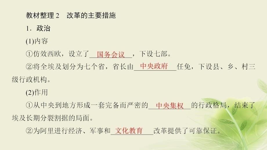 高中历史第六章埃及穆罕默德8226;阿里改革2穆罕默德8226;阿里改革课件北师大版选修108140182_第5页