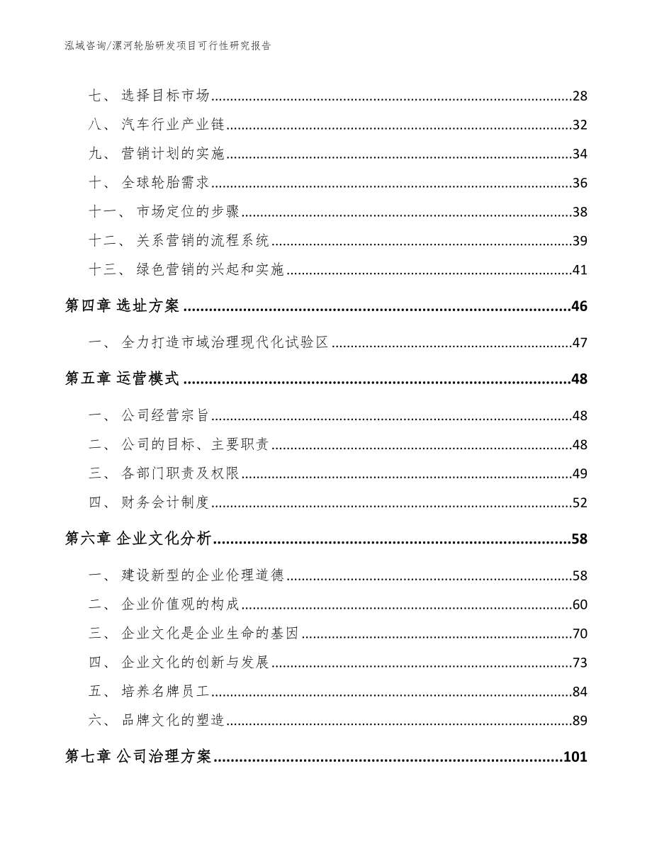 漯河轮胎研发项目可行性研究报告_范文模板_第3页