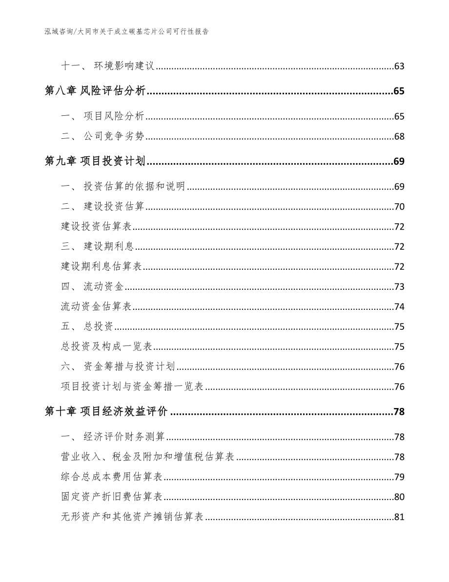 大同市关于成立碳基芯片公司可行性报告_第5页