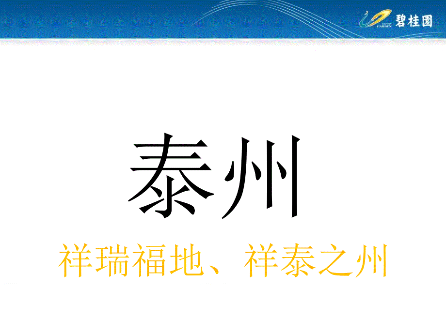 江苏泰州碧桂园凤凰商业广场之“奥特莱斯”概念街区_第2页