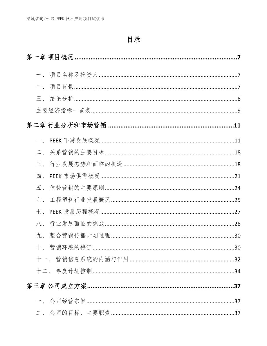 十堰PEEK技术应用项目建议书_第2页