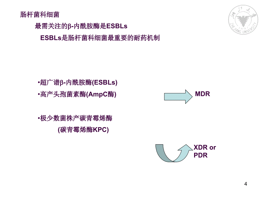 产ESBLs肠杆菌科细菌感染的治疗ppt课件_第4页