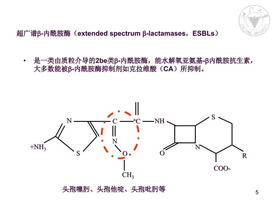 产ESBLs肠杆菌科细菌感染的治疗ppt课件_第5页