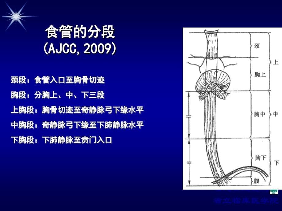 《食管疾病全》PPT课件_第5页