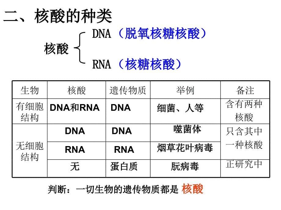 遗传物质的携带者核酸_第5页