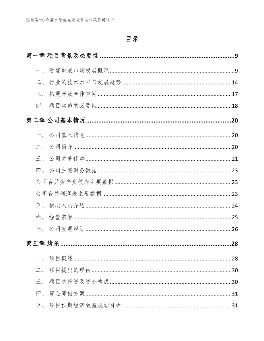 六盘水智能电表MCU芯片项目建议书（模板参考）_第2页