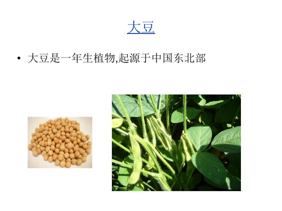 大豆分离蛋白概述_第2页