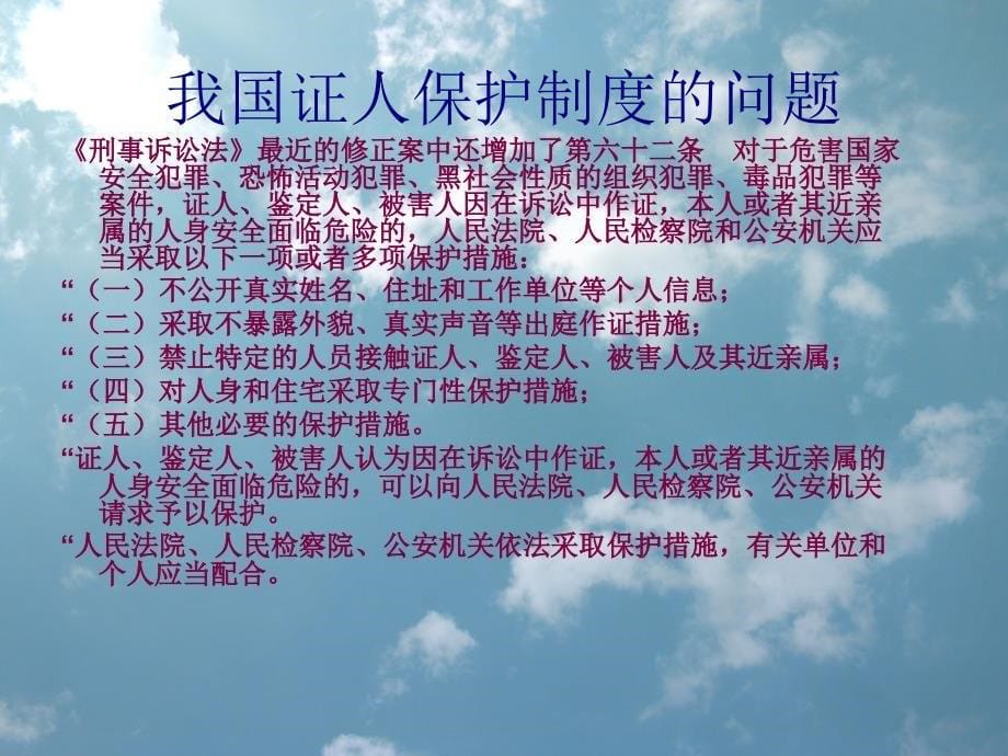 整理证人保护制度_第5页