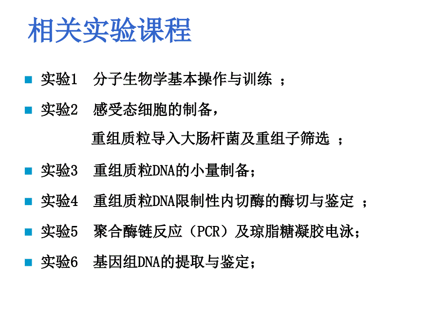 DNA复制、转录和翻译复习2_第3页