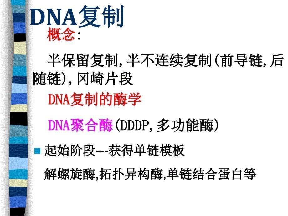 DNA复制、转录和翻译复习2_第5页