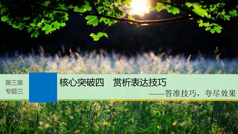 高考语文一轮复习文学类文本阅读散文阅读_基于理解与感悟的审美鉴赏阅读专题三理解必备知识掌握关键能力核心突破四赏析表达技巧课件_第1页