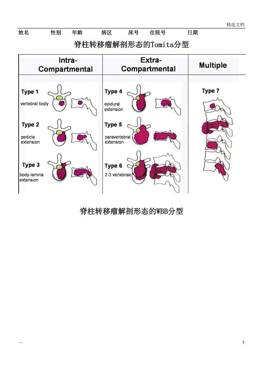 脊柱转移瘤评分_第5页