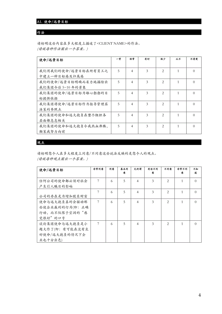 麦肯锡-《业绩理念》调查问卷_第4页