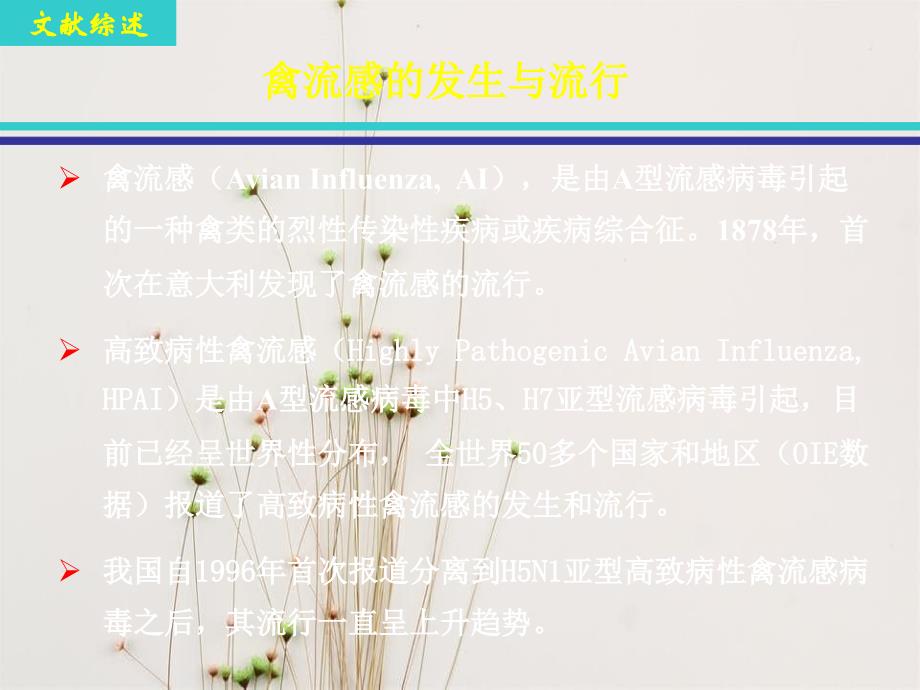 H5N1亚型禽流感病毒感染性克隆的构建_第4页