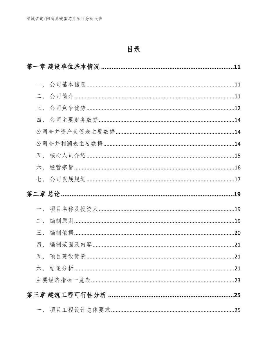 阳高县碳基芯片项目分析报告_第5页